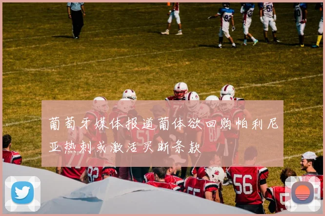 葡萄牙媒体报道葡体欲回购帕利尼亚热刺或激活买断条款